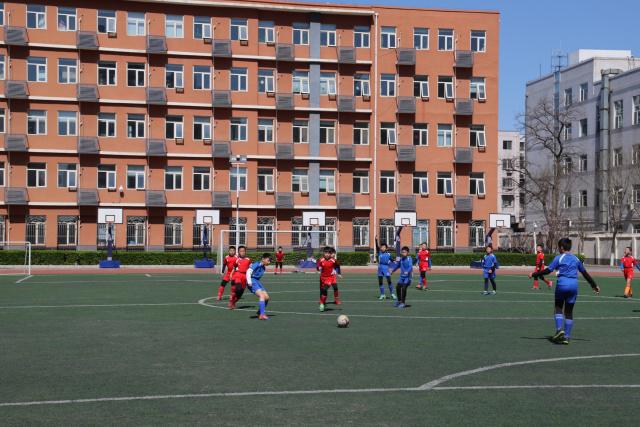 杨鸣：这些年我们经历足够多 今晚玩儿命打好